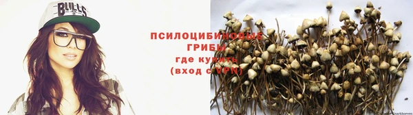 прущий лед Абаза