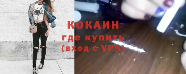 мдпв Протвино