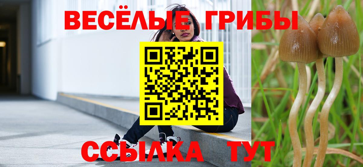 Псилоцибиновые грибы Psilocybine cubensis Рославль