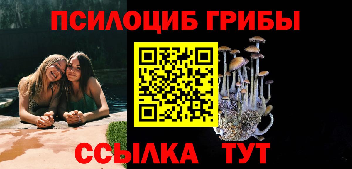 закладка  Вход с VPN  Рославль  Псилоцибиновые грибы Cubensis 